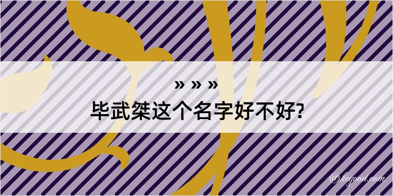 毕武桀这个名字好不好?