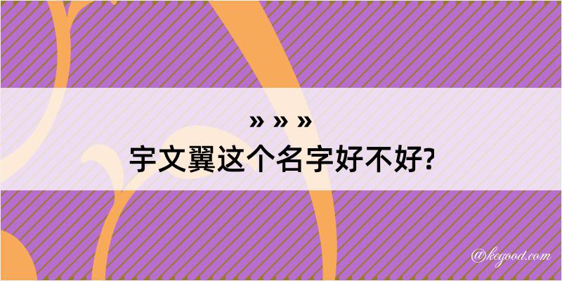 宇文翼这个名字好不好?