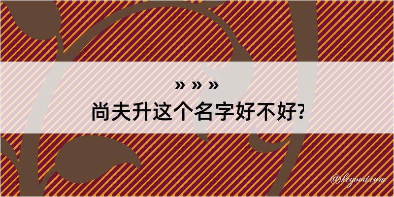 尚夫升这个名字好不好?