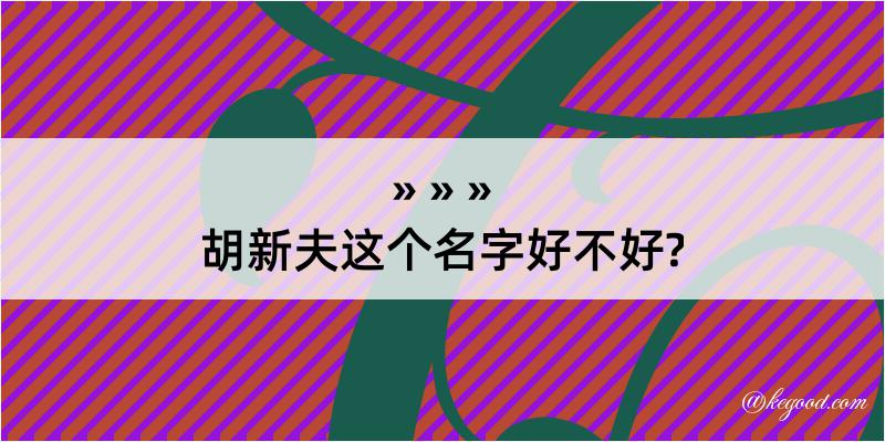 胡新夫这个名字好不好?