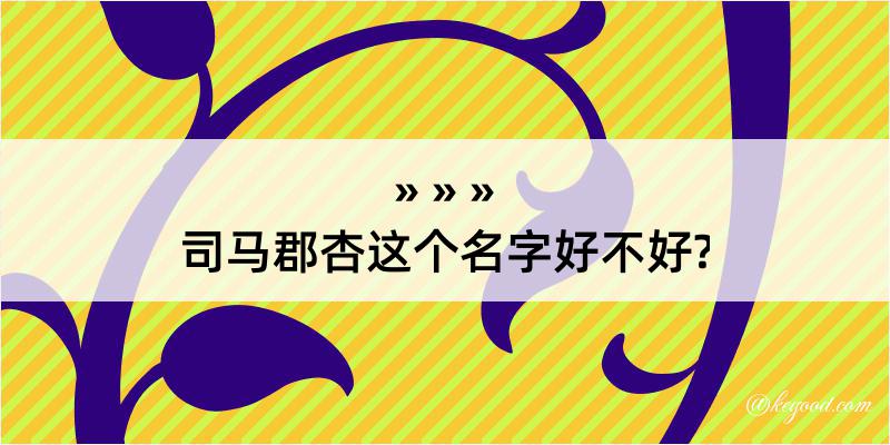 司马郡杏这个名字好不好?