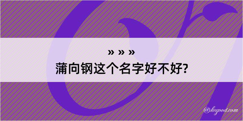 蒲向钢这个名字好不好?