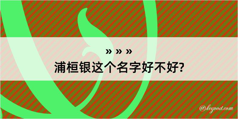 浦桓银这个名字好不好?