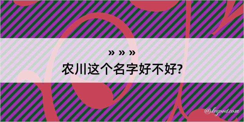 农川这个名字好不好?