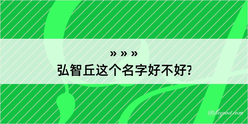 弘智丘这个名字好不好?