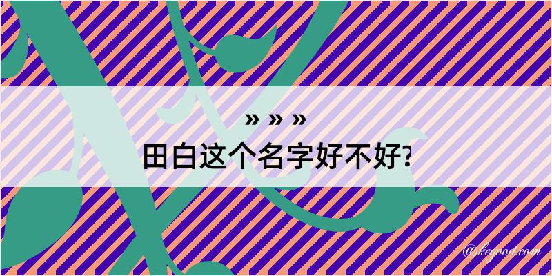 田白这个名字好不好?