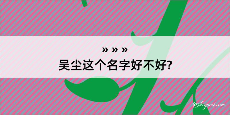 吴尘这个名字好不好?