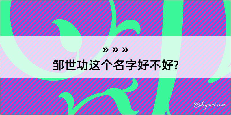 邹世功这个名字好不好?