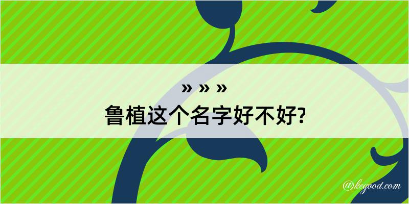 鲁植这个名字好不好?