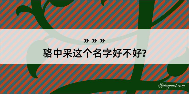 骆中采这个名字好不好?