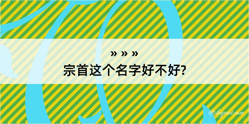 宗首这个名字好不好?