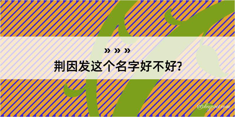 荆因发这个名字好不好?