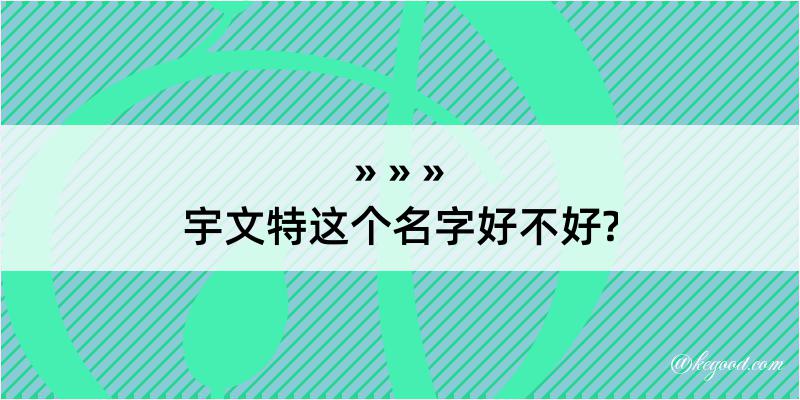 宇文特这个名字好不好?