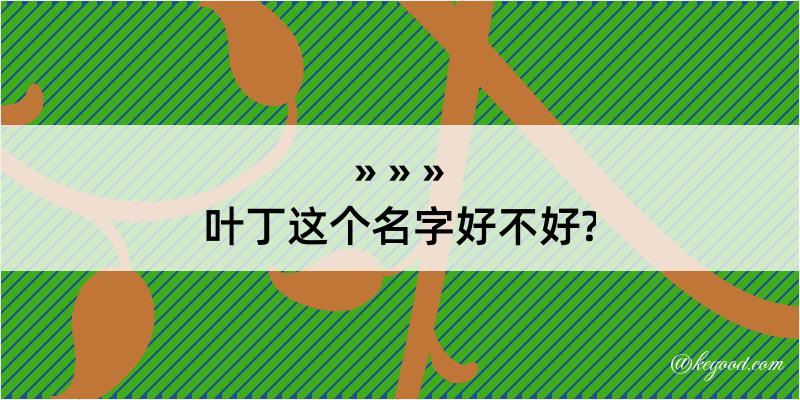 叶丁这个名字好不好?