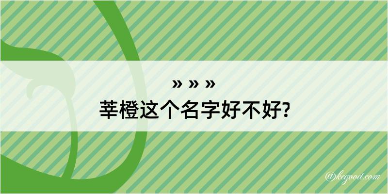 莘橙这个名字好不好?