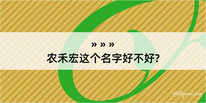 农禾宏这个名字好不好?