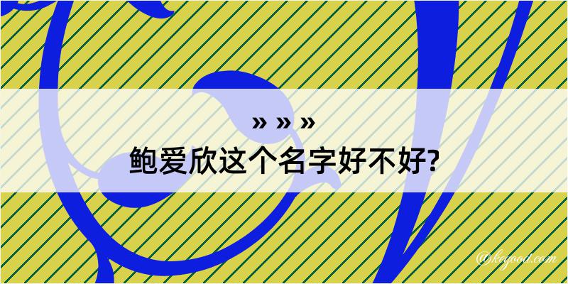 鲍爱欣这个名字好不好?