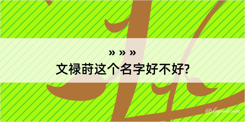 文禄莳这个名字好不好?