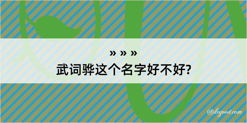 武词骅这个名字好不好?