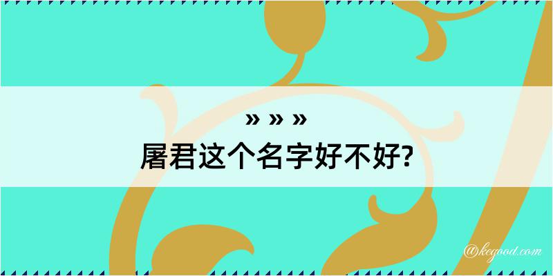 屠君这个名字好不好?