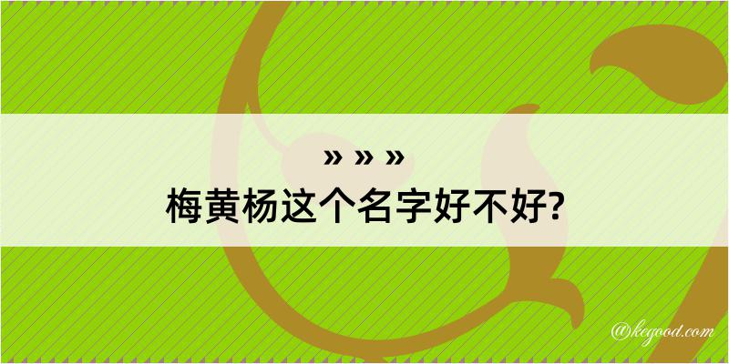 梅黄杨这个名字好不好?