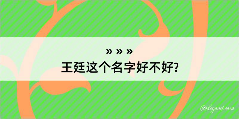 王廷这个名字好不好?