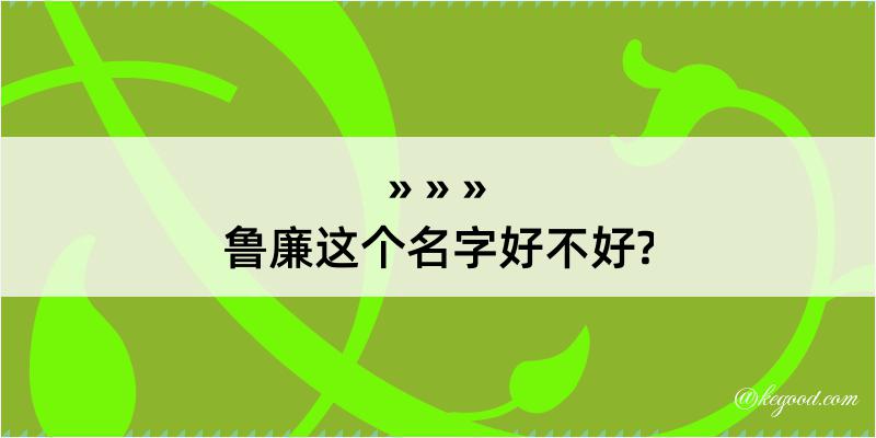 鲁廉这个名字好不好?