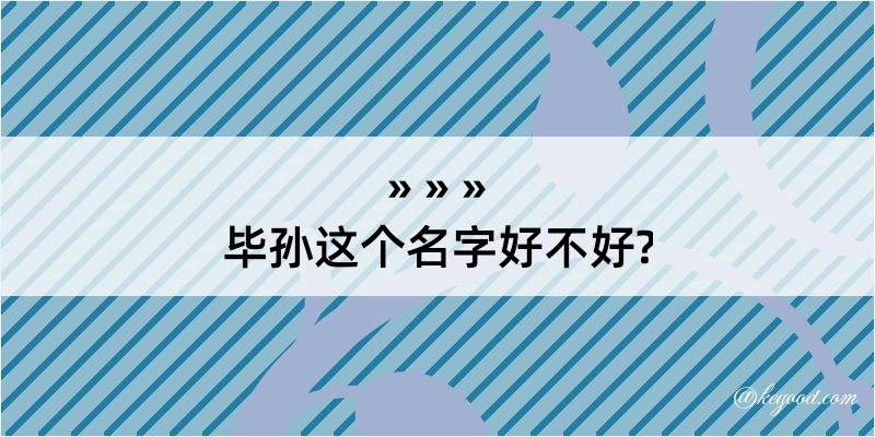 毕孙这个名字好不好?