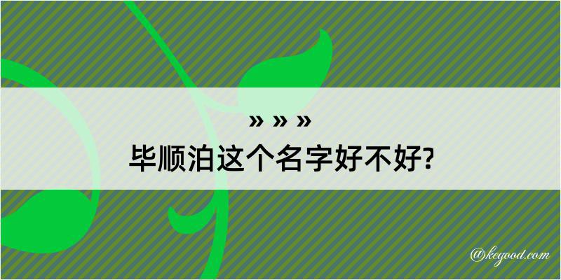 毕顺泊这个名字好不好?