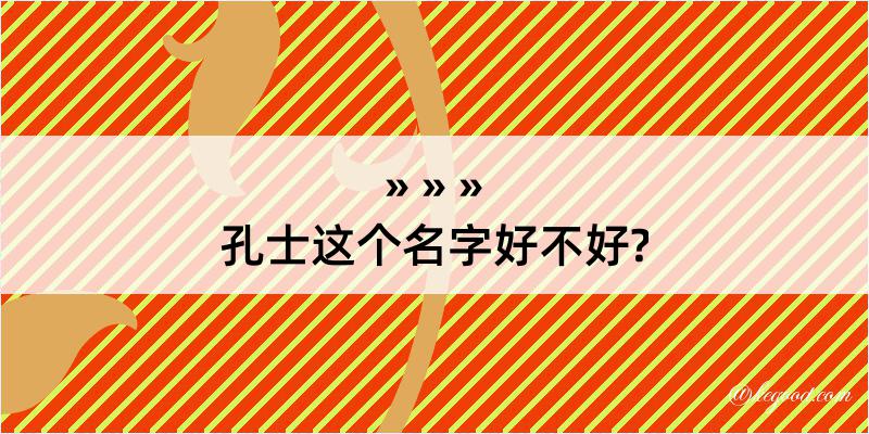 孔士这个名字好不好?