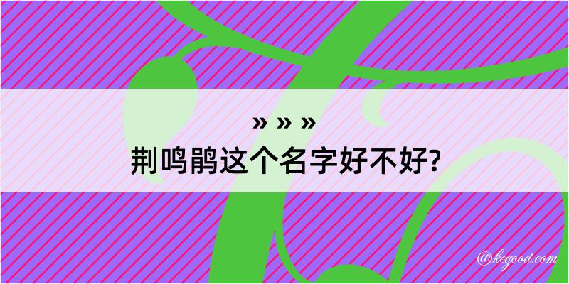 荆鸣鹃这个名字好不好?