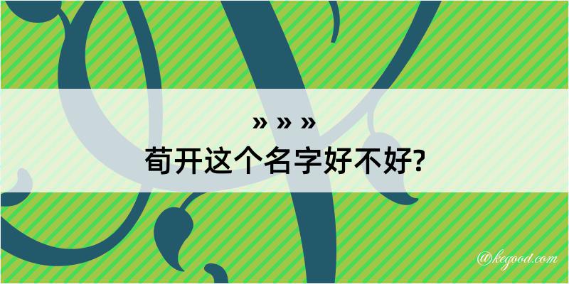 荀开这个名字好不好?