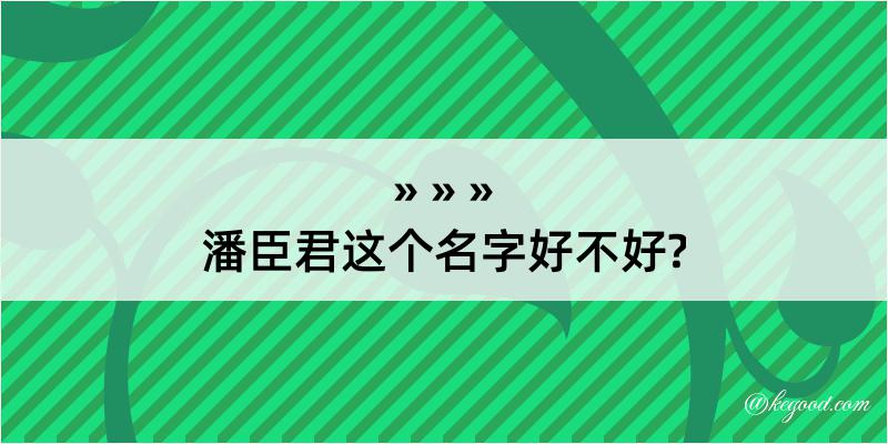 潘臣君这个名字好不好?