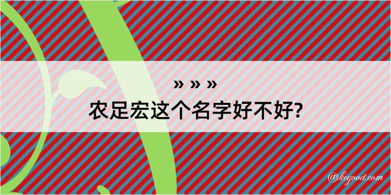 农足宏这个名字好不好?