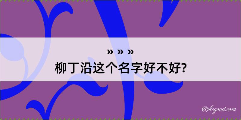 柳丁沿这个名字好不好?