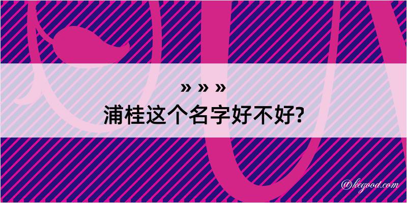 浦桂这个名字好不好?