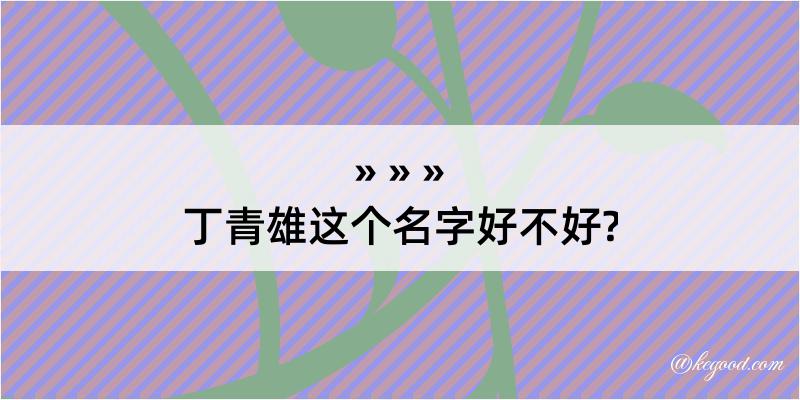 丁青雄这个名字好不好?