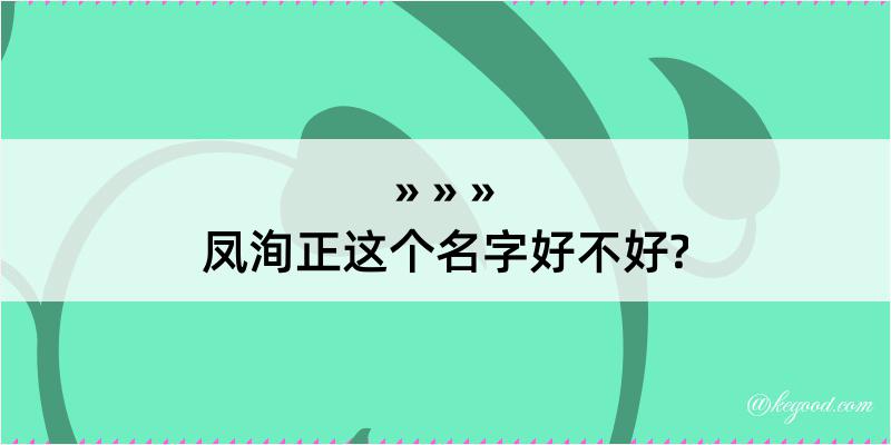 凤洵正这个名字好不好?