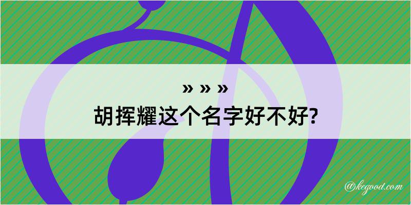 胡挥耀这个名字好不好?