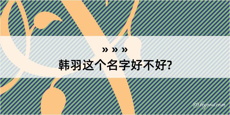 韩羽这个名字好不好?