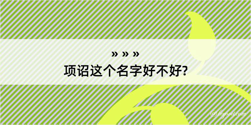 项诏这个名字好不好?