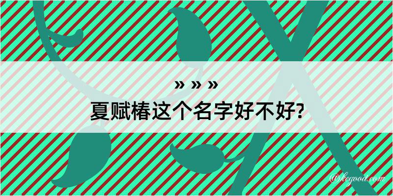 夏赋椿这个名字好不好?