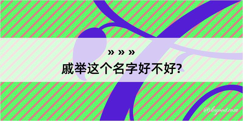 戚举这个名字好不好?