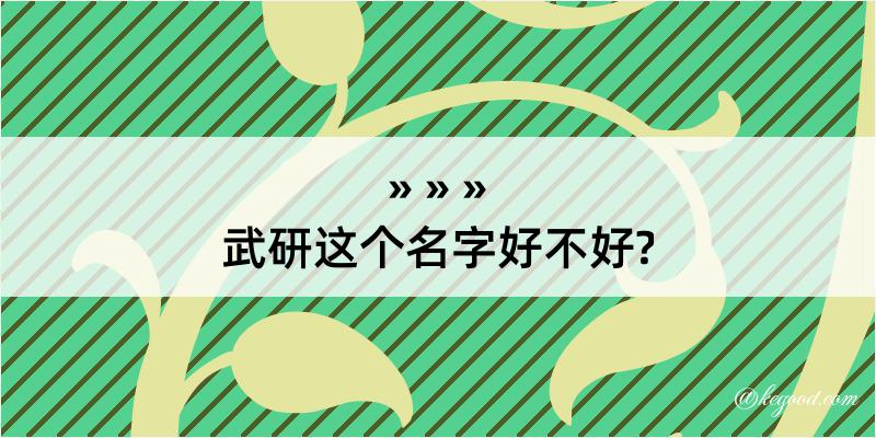 武研这个名字好不好?