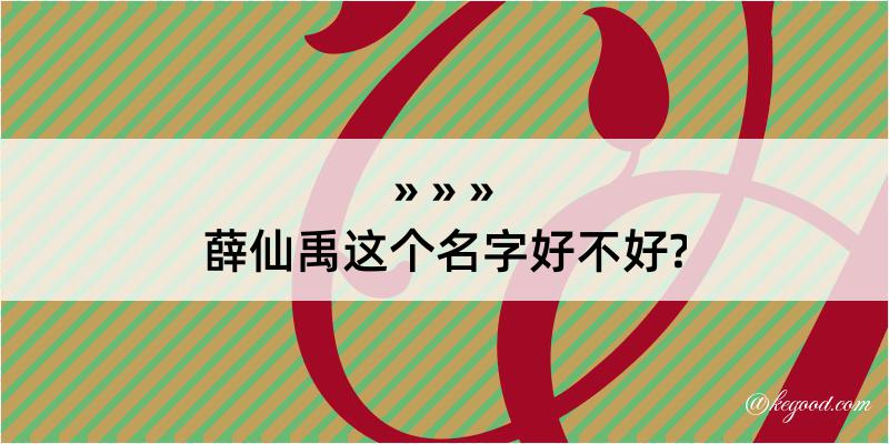 薛仙禹这个名字好不好?