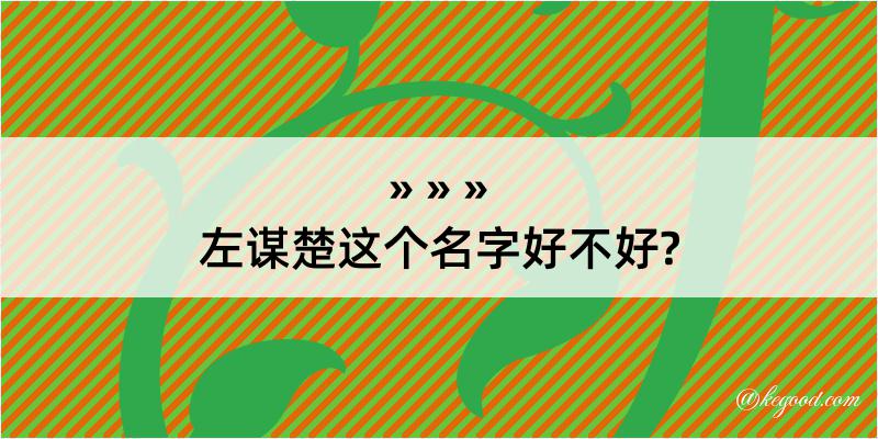 左谋楚这个名字好不好?