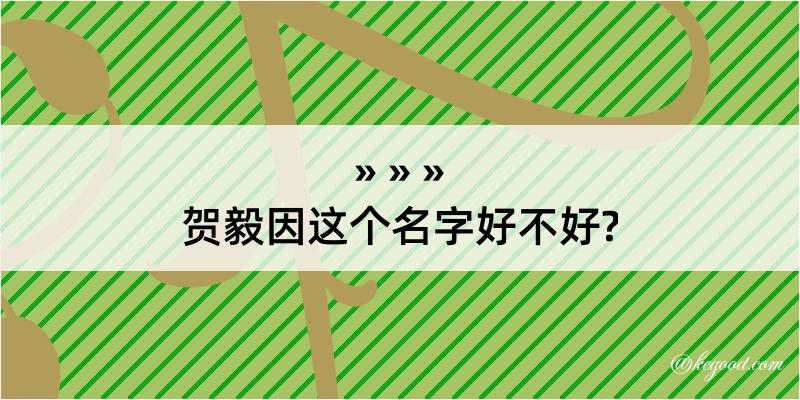 贺毅因这个名字好不好?