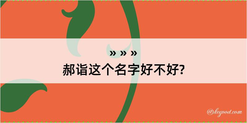 郝诣这个名字好不好?