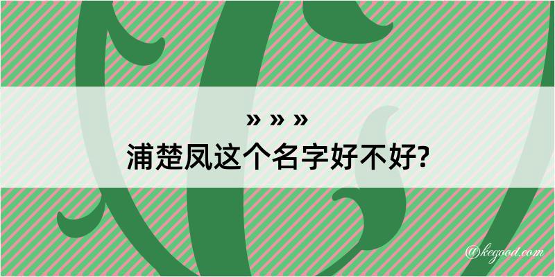 浦楚凤这个名字好不好?