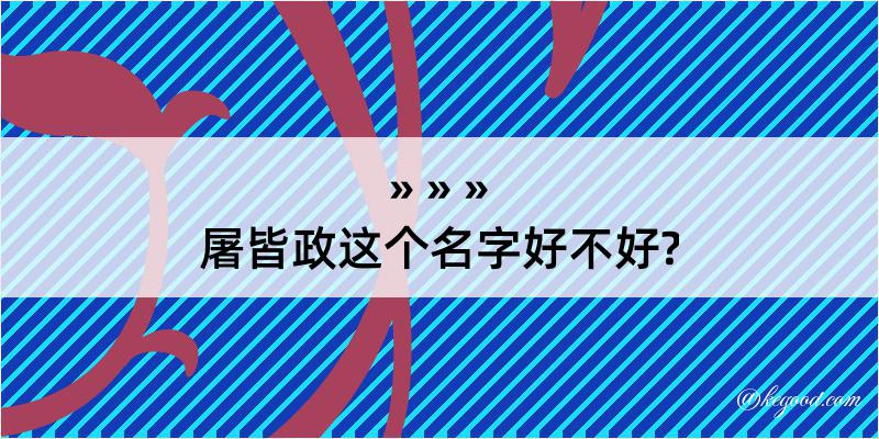 屠皆政这个名字好不好?